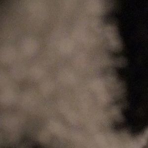 Meet your Posher, Katelyn